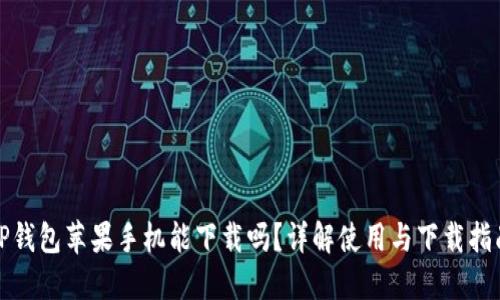 TP钱包苹果手机能下载吗？详解使用与下载指南