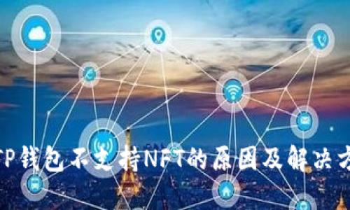 : TP钱包不支持NFT的原因及解决方案