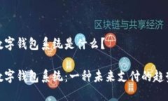 数字钱包系统是什么？数字钱包系统：一种未来