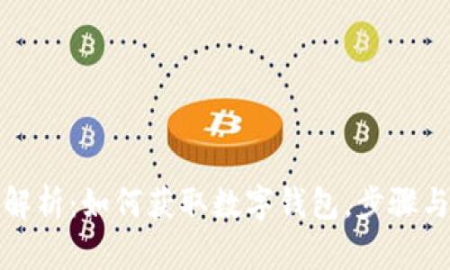 全面解析：如何获取数字钱包，步骤与技巧