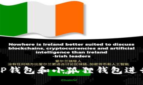 如何使用TP钱包和小狐狸钱包进行转币操作