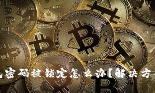 数字钱包密码被锁定怎么办？解决方案与技巧
