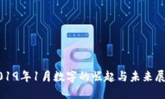 2019年1月数字的崛起与未来展望