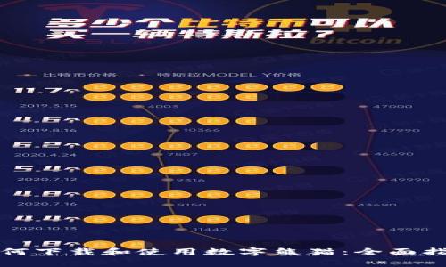 如何下载和使用数字熊猫：全面指南